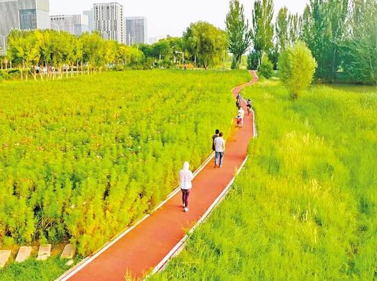 慢下來，讓城市生活更愜意