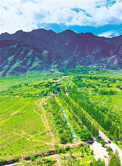     綠色——賀蘭山，寧夏的父親山。隨著近年來(lái)賀蘭山生態(tài)保衛(wèi)戰(zhàn)的打響，賀蘭山生態(tài)逐步恢復(fù)，是寧夏踐行“綠水青山就是金山銀山”理念的生動(dòng)寫(xiě)照。     本報(bào)記者 馬楠 攝